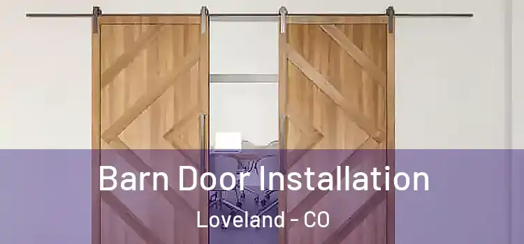  Barn Door Installation Loveland - CO