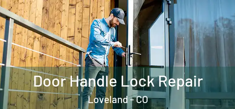 Door Handle Lock Repair Loveland - CO