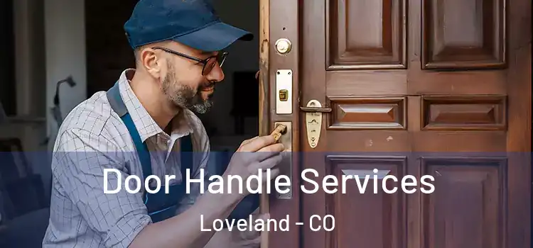Door Handle Services Loveland - CO