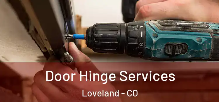  Door Hinge Services Loveland - CO
