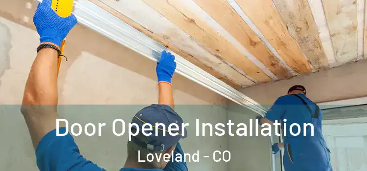 Door Opener Installation Loveland - CO