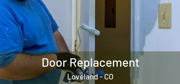  Door Replacement Loveland - CO