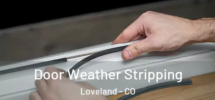 Door Weather Stripping Loveland - CO