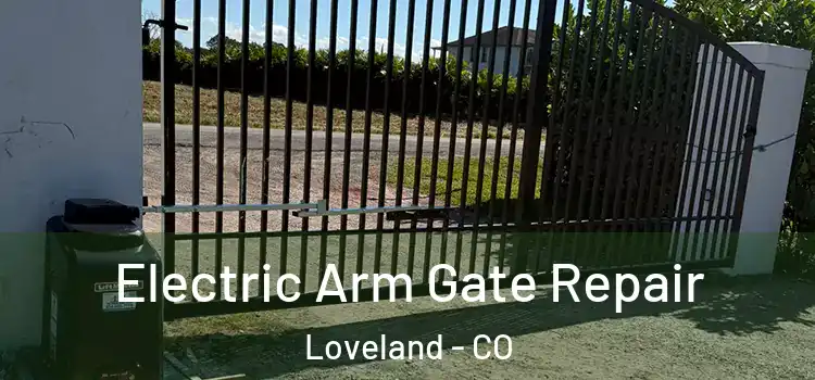  Electric Arm Gate Repair Loveland - CO