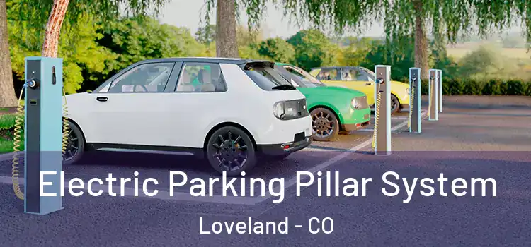 Electric Parking Pillar System Loveland - CO