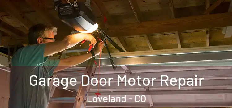  Garage Door Motor Repair Loveland - CO