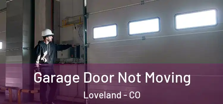  Garage Door Not Moving Loveland - CO