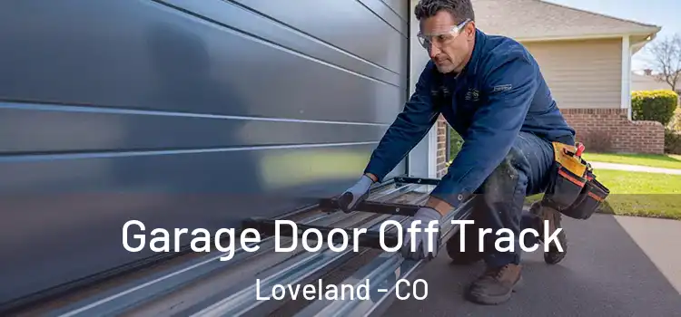  Garage Door Off Track Loveland - CO