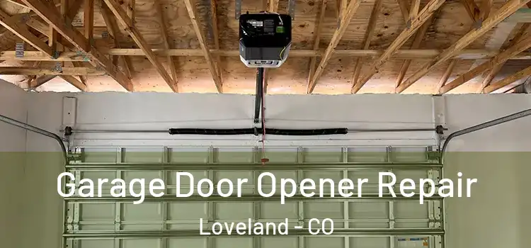  Garage Door Opener Repair Loveland - CO