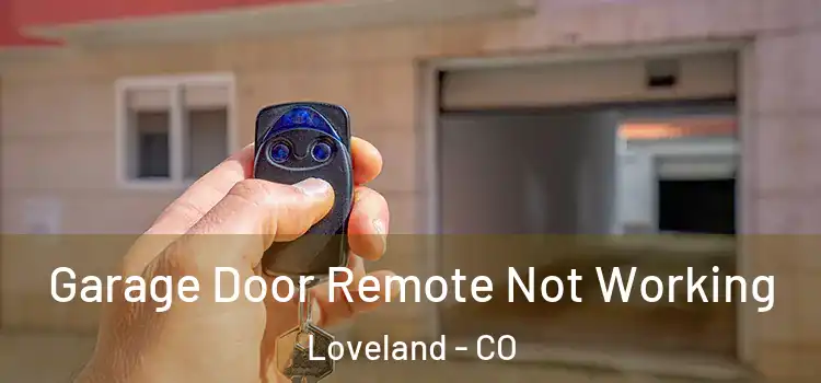  Garage Door Remote Not Working Loveland - CO