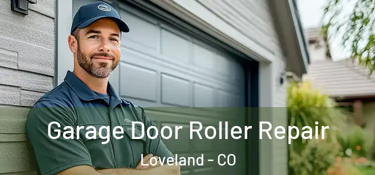  Garage Door Roller Repair Loveland - CO