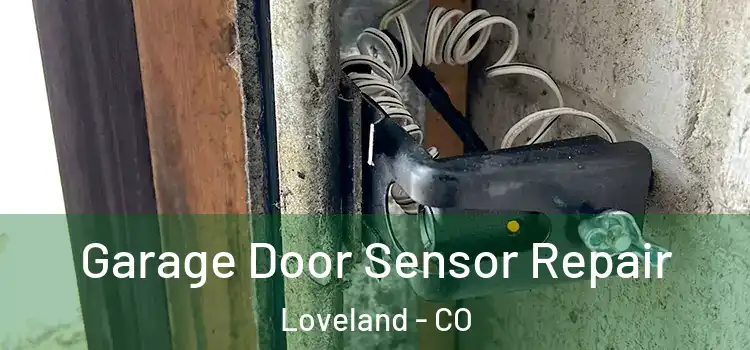 Garage Door Sensor Repair Loveland - CO