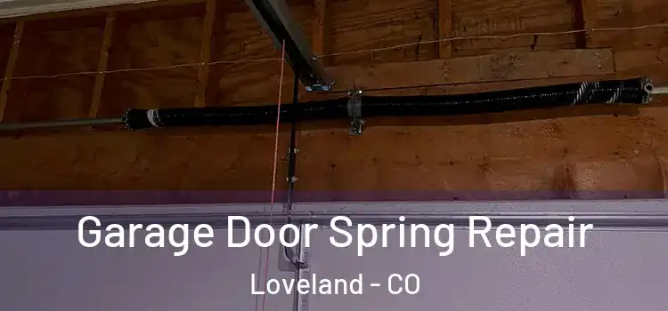  Garage Door Spring Repair Loveland - CO