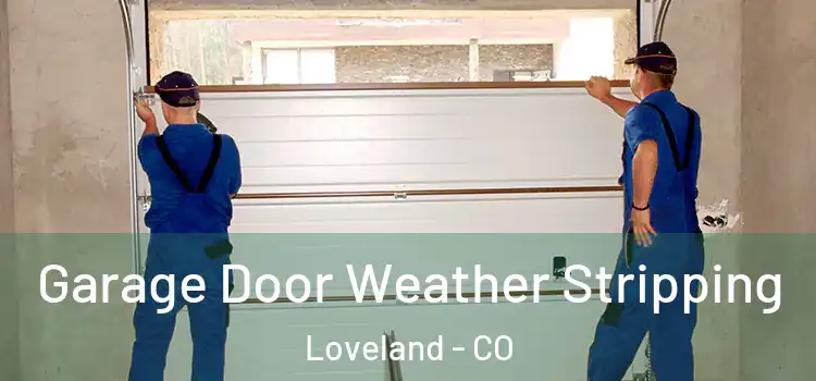  Garage Door Weather Stripping Loveland - CO