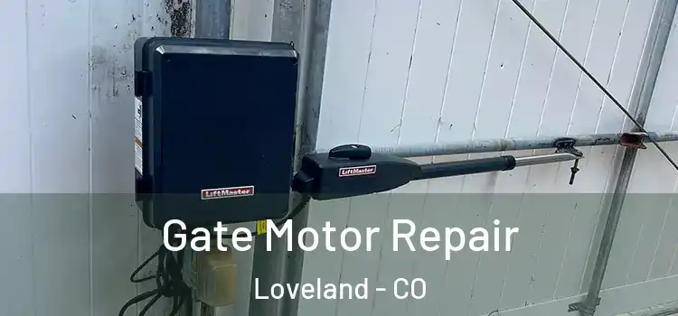 Gate Motor Repair Loveland - CO