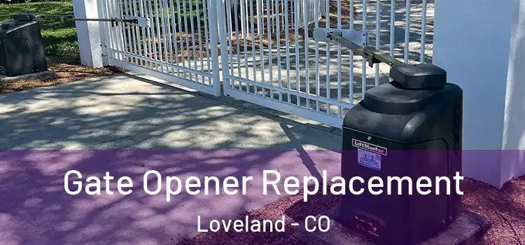  Gate Opener Replacement Loveland - CO