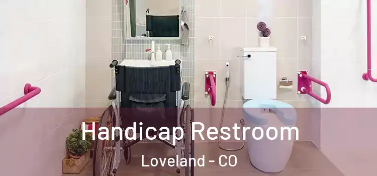 Handicap Restroom Loveland - CO