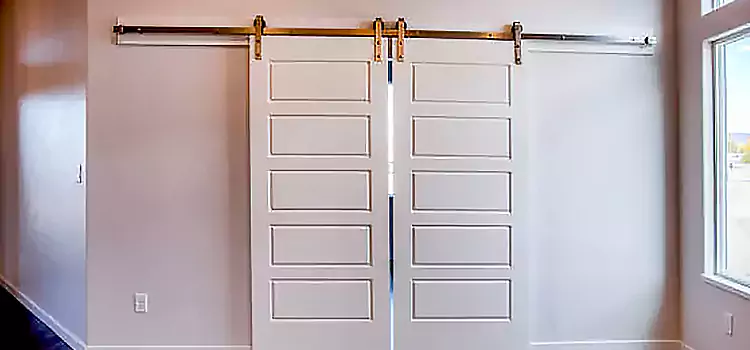 Glass Barn Door with Installation Hardware Kit Loveland