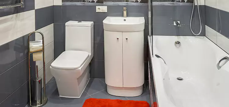 Hansgrohe Shaving Mirror Loveland