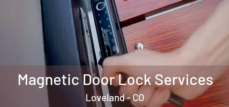 Magnetic Door Lock Services Loveland - CO