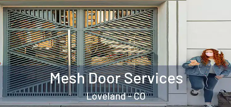 Mesh Door Services Loveland - CO