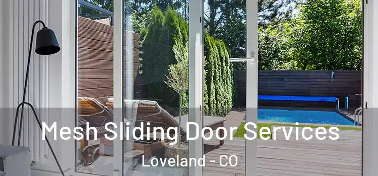 Mesh Sliding Door Services Loveland - CO