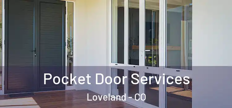 Pocket Door Services Loveland - CO