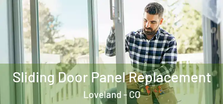 Sliding Door Panel Replacement Loveland - CO
