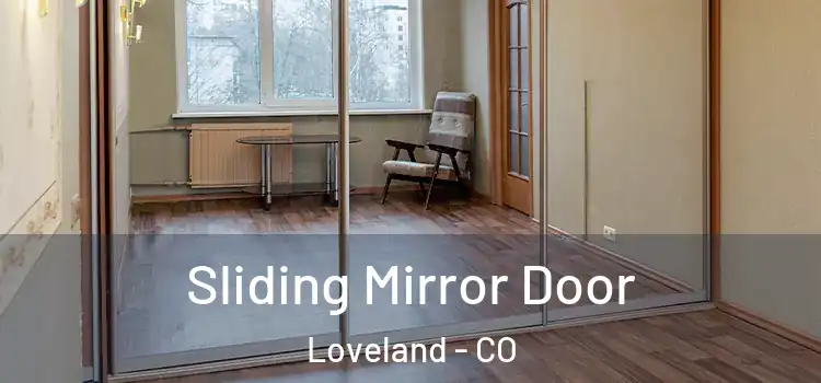  Sliding Mirror Door Loveland - CO