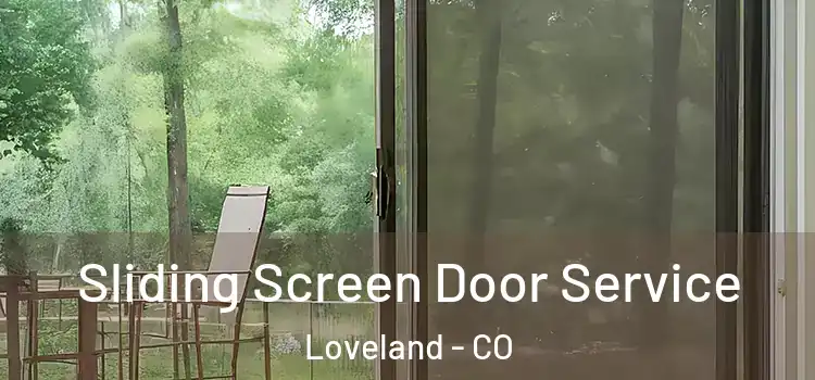 Sliding Screen Door Service Loveland - CO
